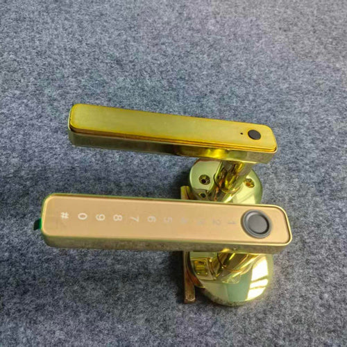 763504782-1